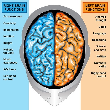 Right brain