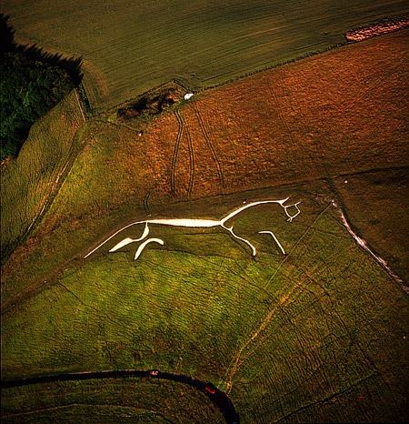 34072599_10215897998143558_2468767602835456000_n